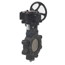 VLV. MARIP D.EXC. H.P. T 6'' LUG ANSI 150 WCB/SS