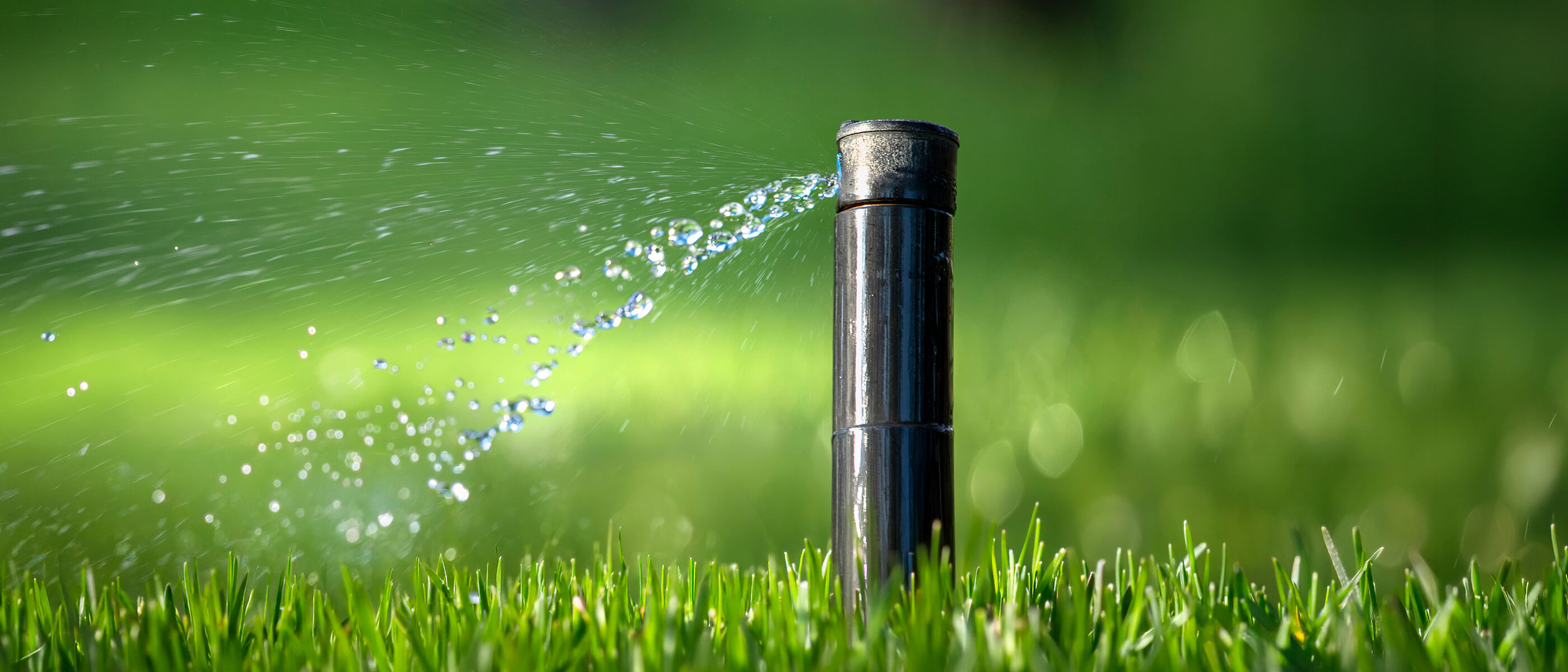 Cómo evitar obstrucciones en sistemas de riego